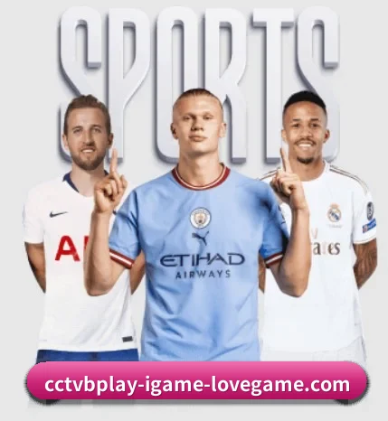 AYX Sports围绕看球场景设计的核心服务