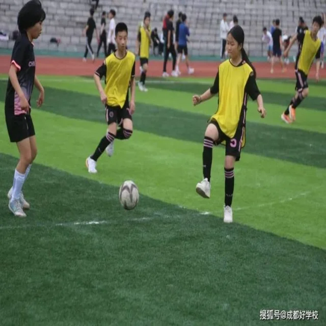 张镇麟复出时间将成辽宁关键转折点